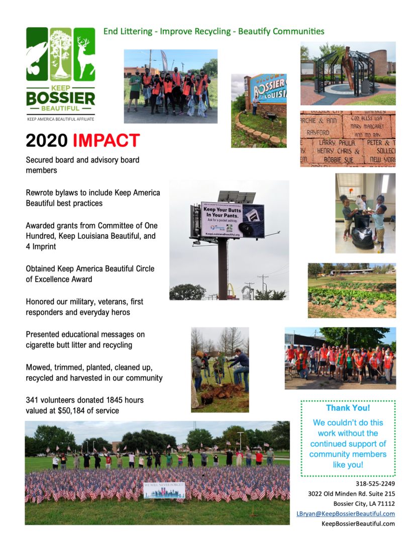 2020-impact-annual-report