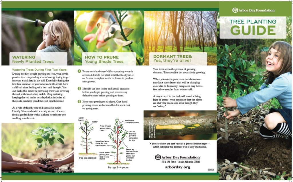 Tree Planting Guide - Keep Bossier Beautiful